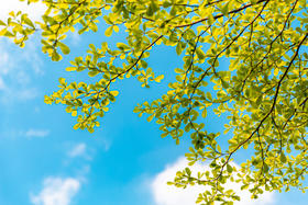 三伏天艾灸丨五脏六腑这样养最省事！