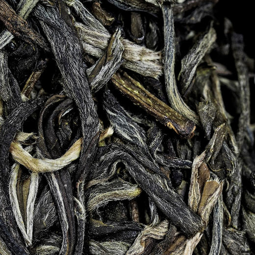 【象牙塘望天树】易武大火山头稀缺高杆资源福利价体验高杆古树茶的魅力好茶只招待骨灰级懂茶人 商品图1