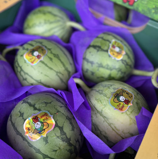 【小糖丸 西瓜】迷你小糖丸西瓜，肉质超嫩，指弹即破，瓜瓤甜美多汁，推荐品尝！ 商品图4