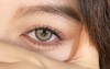 【中直径】NICEKON-未来细胞-14.2mm【年抛 度数0-1000度 含有525/575】 商品缩略图1