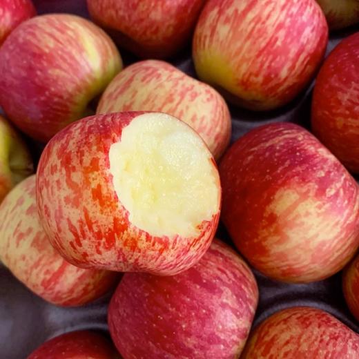 南非樱桃小苹果 商品图1