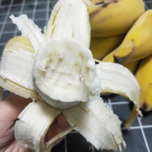 【正宗福建苹果蕉】糯叽叽、胖嘟嘟🍌的原生态“苹果蕉” 💥爆红网络的蕉中贵族 商品图2