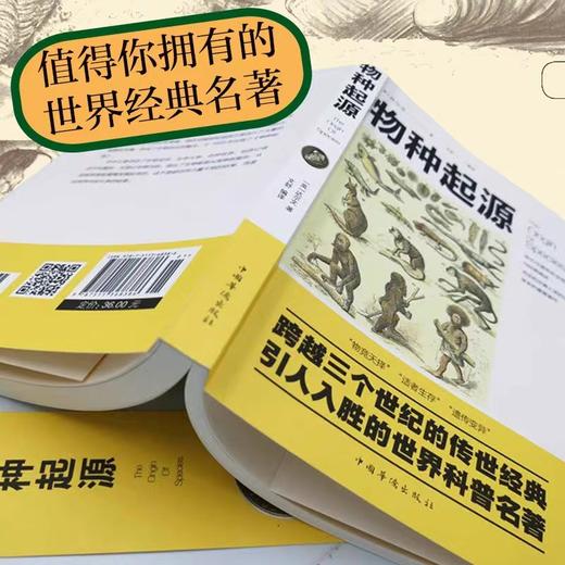 时间简史人类简史物种起源图说全3册 正版书籍人类起源的演化过程达尔文初高中学生课外阅读书籍科普百科大全生物生命科学名著物理 商品图4