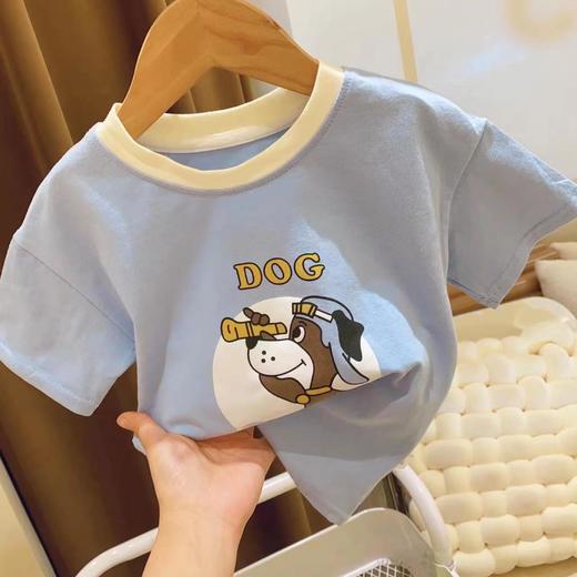 【捡漏价49.9元/2件】儿童夏2023新款纯棉薄短袖，网红卡通T恤，亲肤舒适，多色可选，中小童洋气半袖，宝宝韩上衣 商品图6