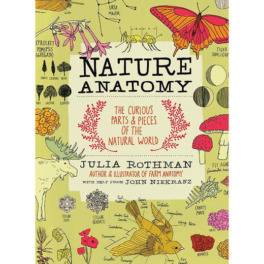 自然剖析学 儿童科普启蒙绘本书 Julia Rothman 英文原版 Nature Anatomy: The Curious Parts and Pieces of the Natural World 商品图0