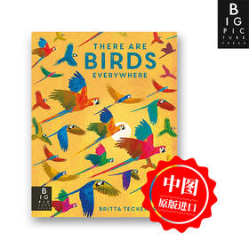 四周的鸟类 英文原版 There are Birds Everywhere 精装艺术插画绘本 自然知识科普 6岁以上 进口儿童图书