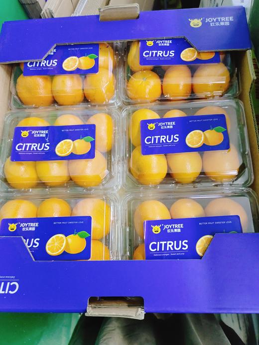 欢乐果园蜜桔一盒（拼团） 商品图0