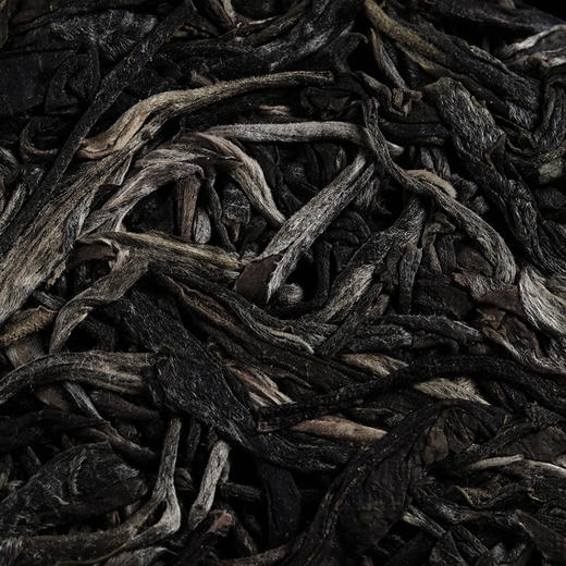 【野生古树茶】2023年临沧千年野生古树茶首采开采高额补贴只属于少数老茶客的私房茶 商品图6