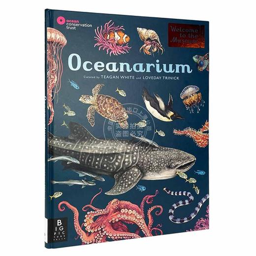 Oceanarium 海洋博物馆 欢迎来到博物馆系列 青少年英语课外阅读科普读物 精装大开本 英文原版进口原版书籍 商品图1