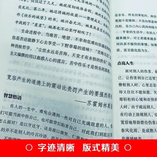 感悟人生一句话点亮人生小故事大道理中华名言全3册 正版为人处事的书籍成ren文学成功励志书籍畅销书排行榜人生没有什么不可以放下 商品图3