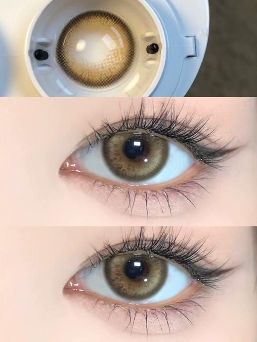 【混血日抛】萤火蜜蜡·Papadox丨14.2mm（日抛/一盒10片装） 商品图1