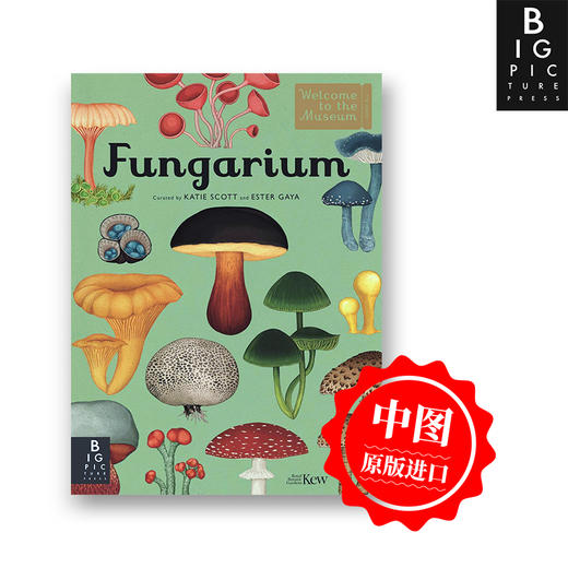 Fungarium 真菌馆 欢迎来到博物馆系列 青少年英语课外阅读科普读物 精装大开本 英文原版进口原版书籍 商品图0