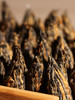 遇水开花的【宝塔红茶】采用特级红茶全手工编织而成，根根金毫，金圈突出，蜜润醇厚！200g/罐 商品缩略图2
