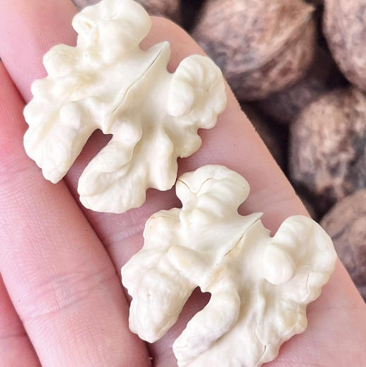 周二配送！新鲜核桃与干核桃相比具有香，脆，甜，不油，不膩
特点：蛋白质和氨基酸等营养物质能更好的保存，新鲜嫩脆，吃起来特别香，很多孕妇喜欢吃。家里有孕妇，小宝宝，老人的吃它准没错！3斤网兜装！送核桃夹 商品图1