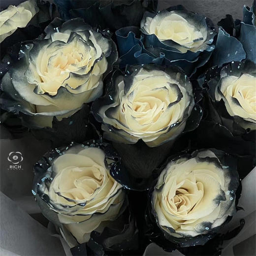 高端奢华花礼定制厄瓜多尔银河玫瑰花束鲜花速递 商品图2