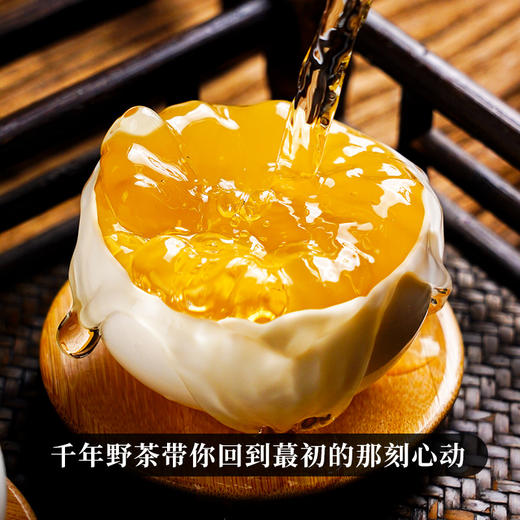 【野生古树茶】2023年临沧千年野生古树茶首采开采高额补贴只属于少数老茶客的私房茶 商品图1