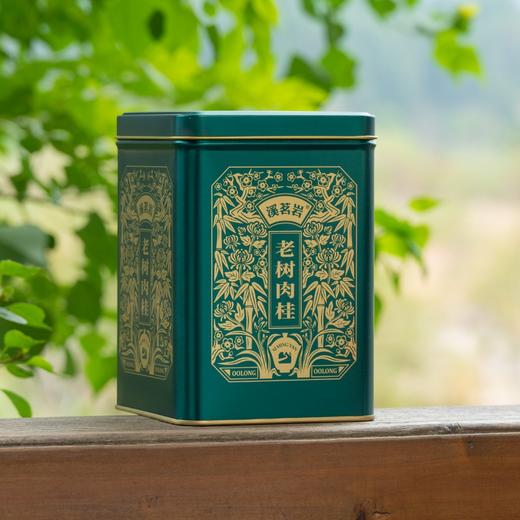 【老树肉桂】（原味）溪茗岩经典方罐系列180g正宗武夷岩茶 商品图2
