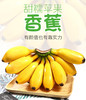 【正宗福建苹果蕉】糯叽叽、胖嘟嘟🍌的原生态“苹果蕉” 💥爆红网络的蕉中贵族 商品缩略图4