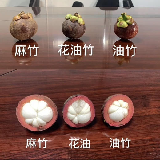 空运4A老树山竹 商品图2