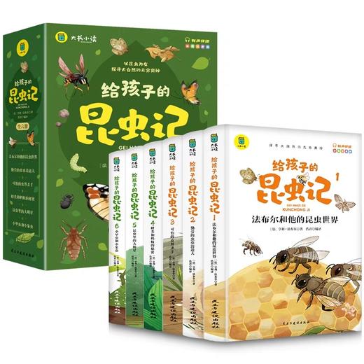 【有声伴读】给孩子的昆虫记全套6册法布尔著小学生彩绘注音版儿童绘书3-6岁孩子青少年孩子读的懂得昆虫记昆虫百科全书读物课外书 商品图4