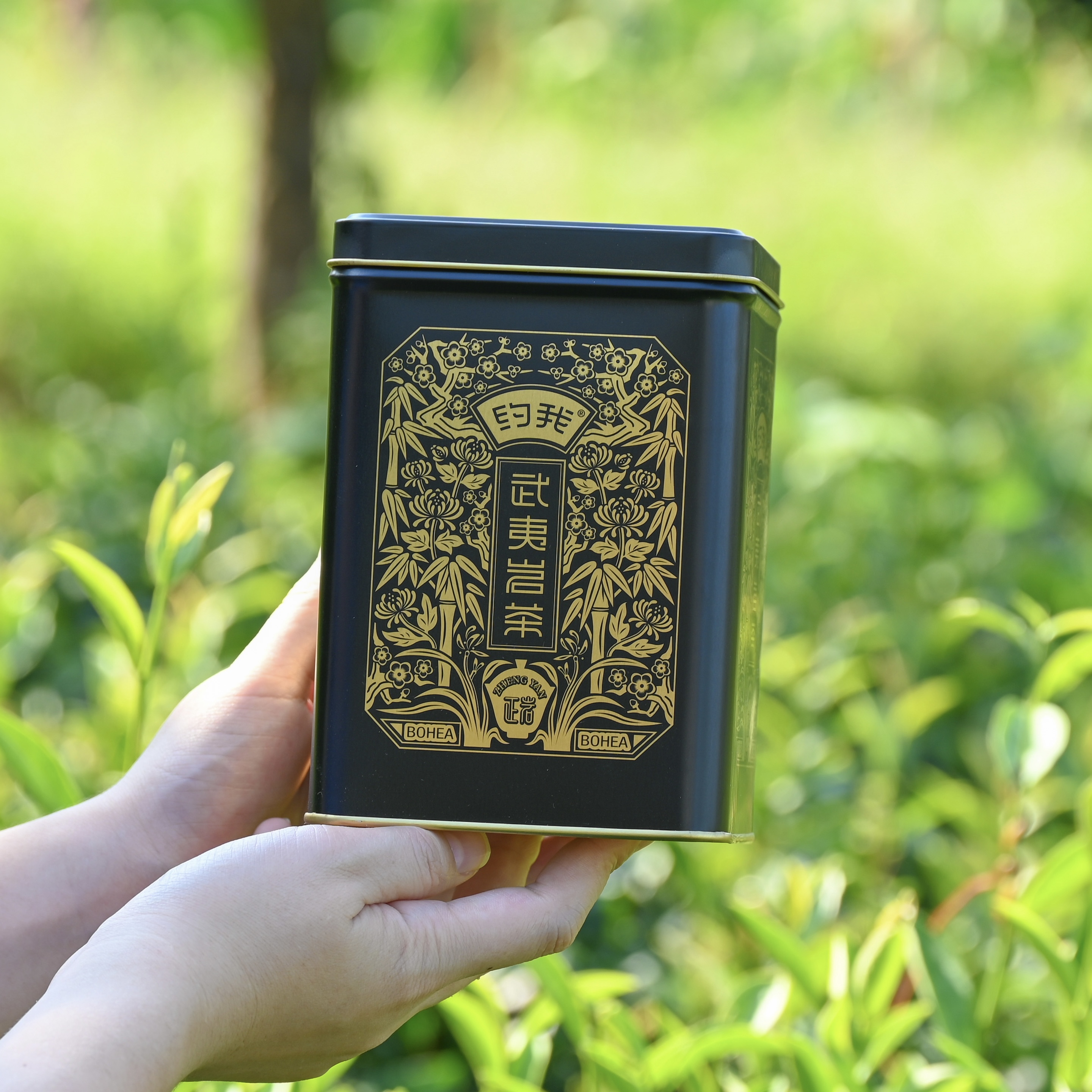 【小黑罐·肉桂】罐装150g