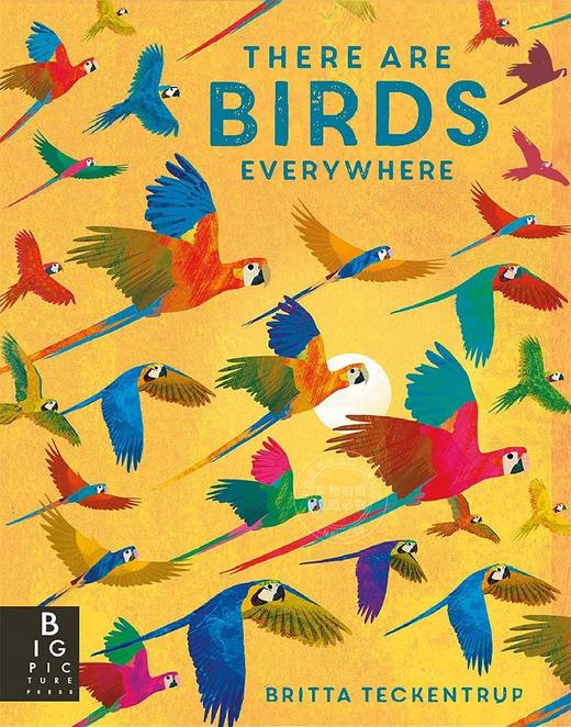 四周的鸟类 英文原版 There are Birds Everywhere 精装艺术插画绘本 自然知识科普 6岁以上 进口儿童图书 商品图4