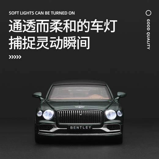 【成真】1-38宾利飞驰新能源 商品图4