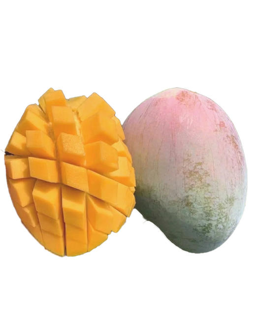 芒果界的“巨无霸”‼比脸大の「攀枝花·老树凯特芒果」 商品图0