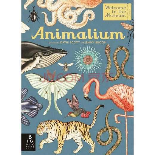 Animalium 动物博物馆 欢迎来到博物馆系列 青少年英语课外阅读科普读物 精装大开本 英文原版进口原版书籍 商品图0