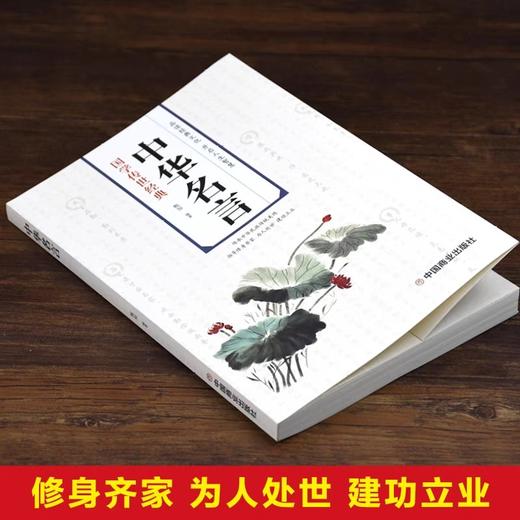 感悟人生一句话点亮人生小故事大道理中华名言全3册 正版为人处事的书籍成ren文学成功励志书籍畅销书排行榜人生没有什么不可以放下 商品图2