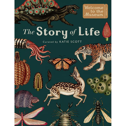 生命进化的故事 儿童科普启蒙绘本 英文原版 The Story Of Life Evolution 商品图0