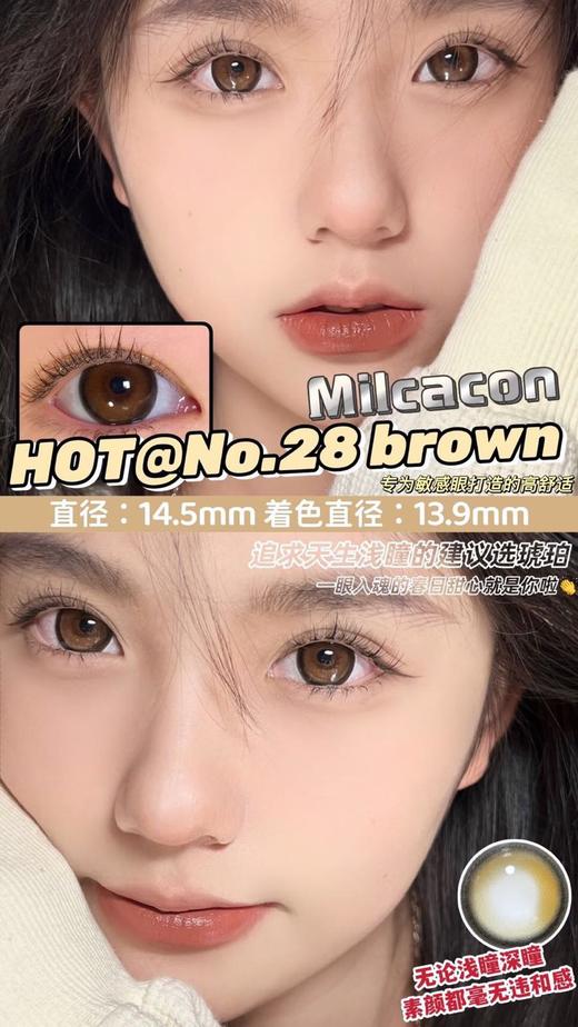 MILCACON M28 Brown 硅水凝胶（年抛型） 商品图0