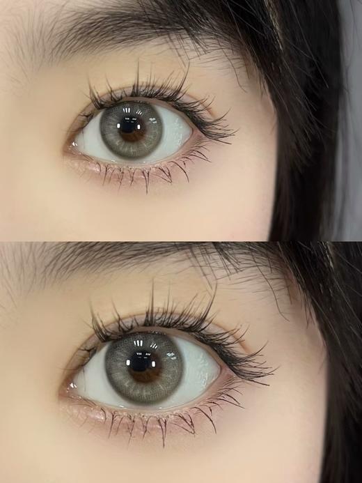 混血款推荐丨金吉拉灰·Hushlens丨14.2mm（年抛/2片装） 商品图7