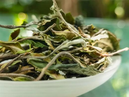 香风迎面 百花盛开 | 携谁隐·月光易白（2023） 商品图8