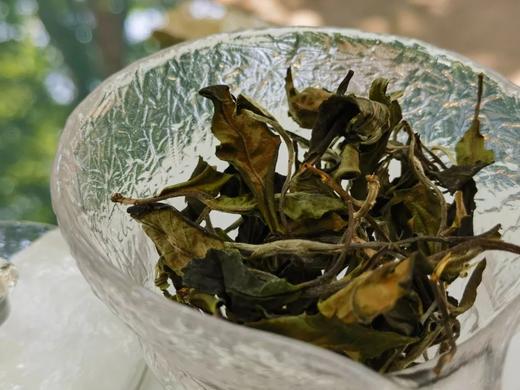 香风迎面 百花盛开 | 携谁隐·月光易白（2023） 商品图6