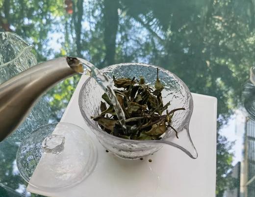 香风迎面 百花盛开 | 携谁隐·月光易白（2023） 商品图4