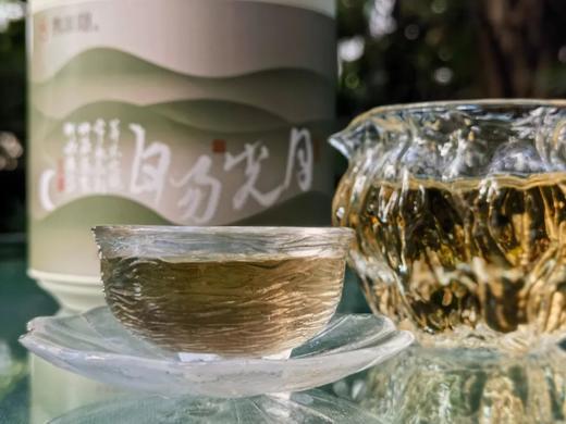 香风迎面 百花盛开 | 携谁隐·月光易白（2023） 商品图9