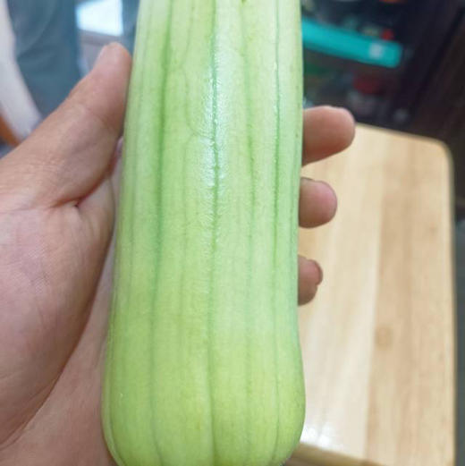 周五配送！“白关十里铺，丝瓜万家甜”。因为独特的地理环境与土壤性质，白关丝瓜肉质紧密，嫩白如玉，汤汁清鲜，白关丝瓜颜值高、味道佳、营养好已深入人心。2.8-3斤/袋 商品图1