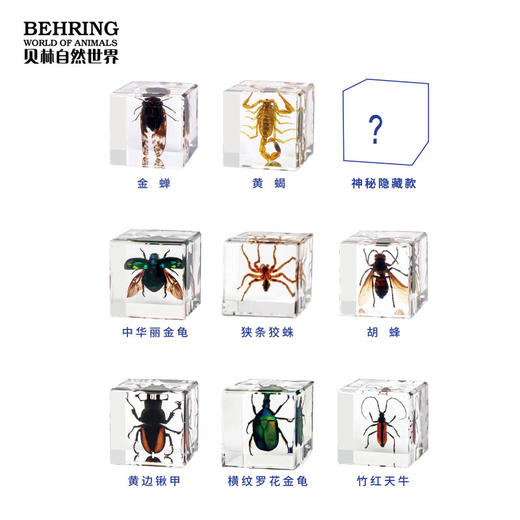 贝林自然世界盲盒系列昆虫王国盲盒 商品图4