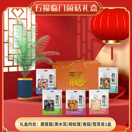 0593【国企严选，山海食材】五福临门菌菇礼盒袋装套餐 商品图0