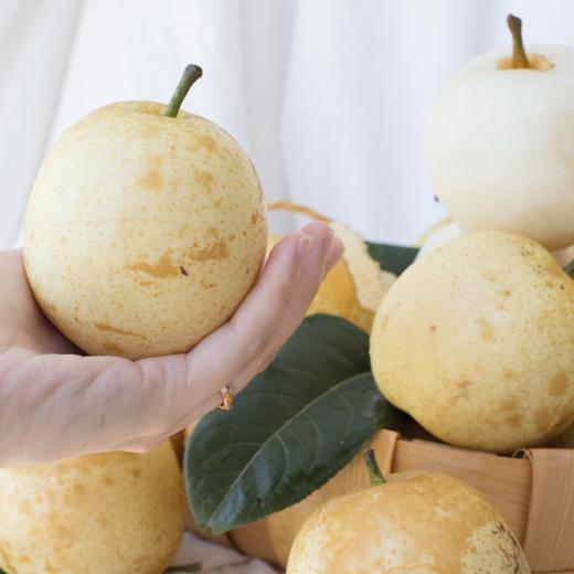 连州水晶梨4.5斤装 酥脆汁丰盈 商品图2