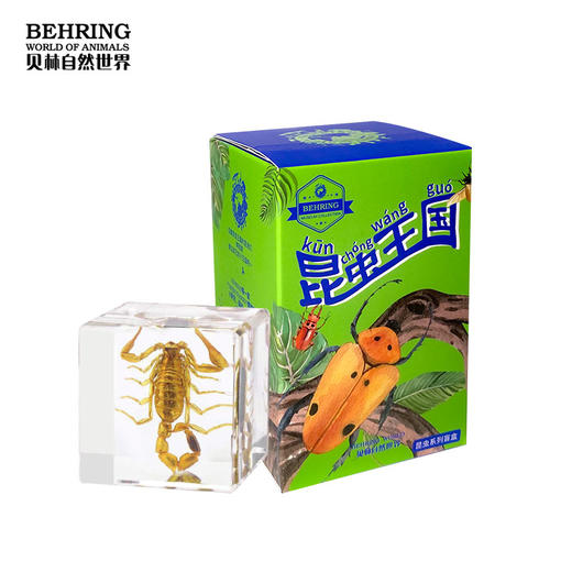 贝林自然世界盲盒系列昆虫王国盲盒 商品图2