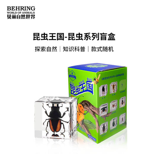 贝林自然世界盲盒系列昆虫王国盲盒 商品图0