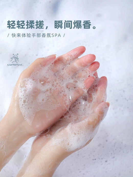 evershine洗手液家用款泡沫型便携花香持久留香不含酒精温和型 350ml 商品图1