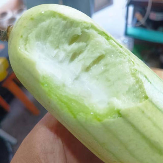 周五配送！“白关十里铺，丝瓜万家甜”。因为独特的地理环境与土壤性质，白关丝瓜肉质紧密，嫩白如玉，汤汁清鲜，白关丝瓜颜值高、味道佳、营养好已深入人心。2.8-3斤/袋 商品图2