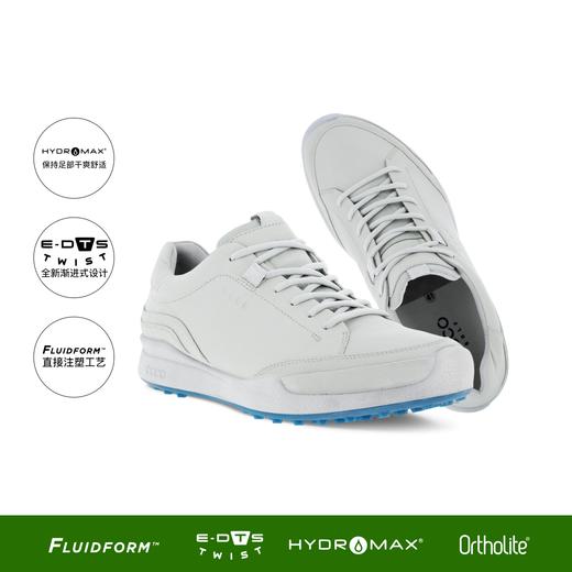 【高尔夫北美大经典】ECCO爱步男子高尔夫球鞋轻便透气131664 商品图0