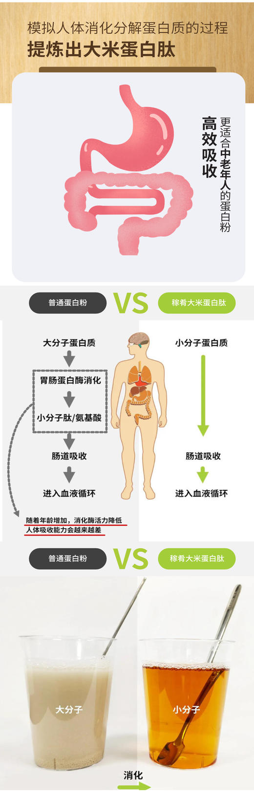 《潘嗲闲逛》大米蛋白肽礼盒装 180g（60gx3） 商品图2