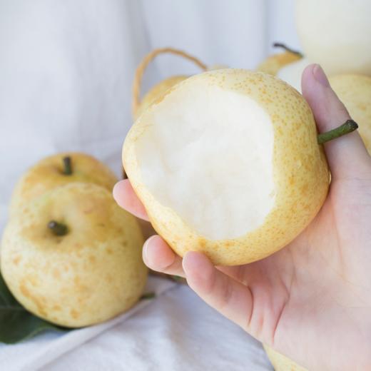 连州水晶梨4.5斤装 酥脆汁丰盈 商品图1