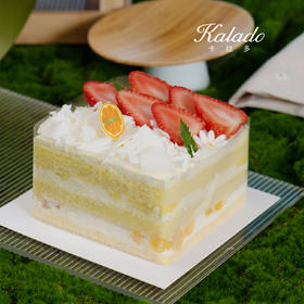 草莓分享蛋糕 4#