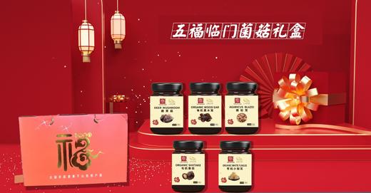 0593【国企严选，山海食材】五福临门菌菇礼盒罐装套餐 商品图0